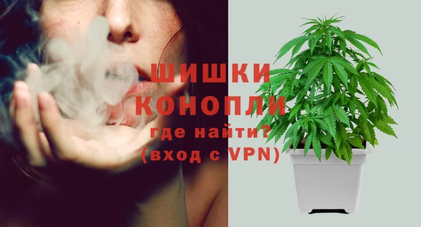 ешки Бугульма