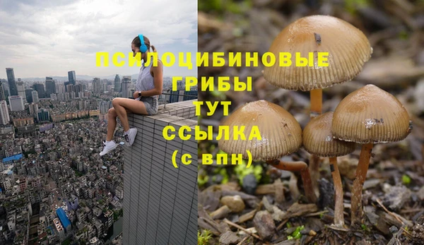 mdpv Бронницы