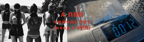 сатива Белокуриха