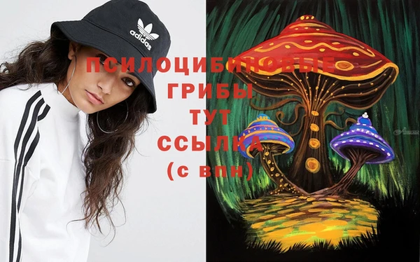 ешки Бугульма