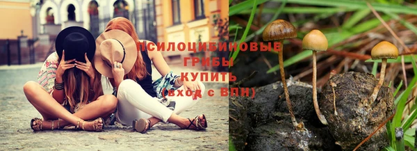 ешки Бугульма