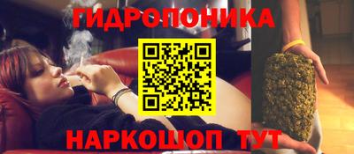 бошки Тара