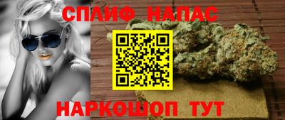 бошки Тара