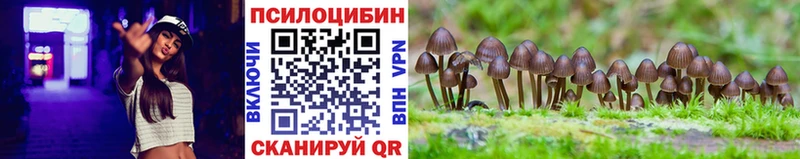 Псилоцибиновые грибы Magic Shrooms  Свободный 