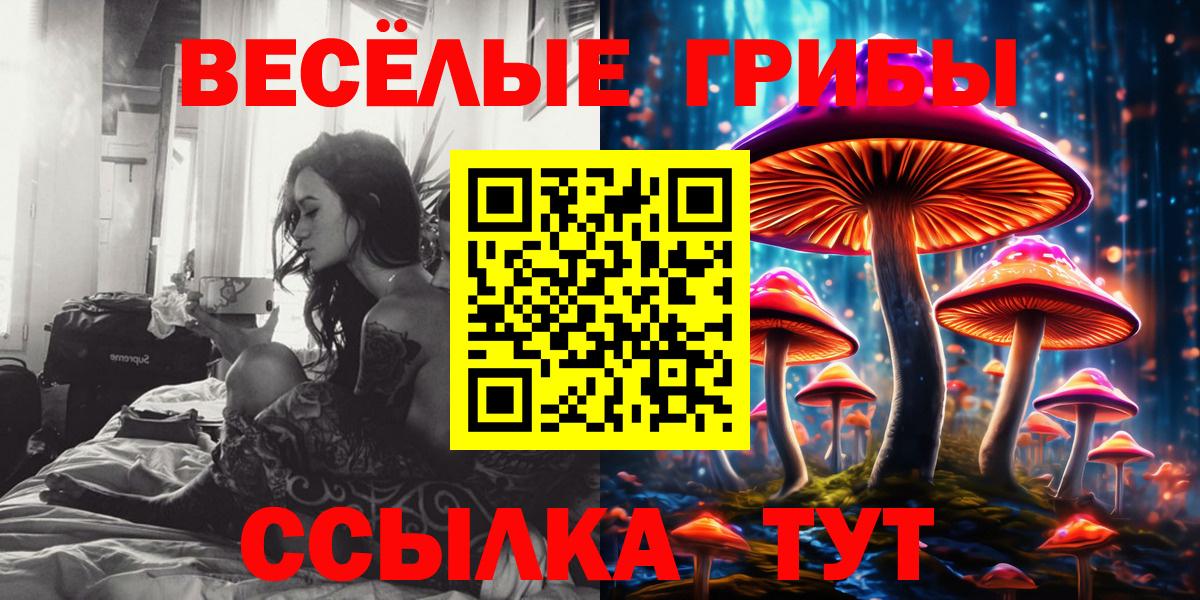 Псилоцибиновые грибы ЛСД Свободный