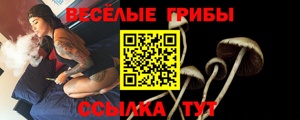 Свободный  Псилоцибиновые грибы Psilocybine cubensis  Вход с VPN 